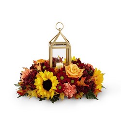 The FTD Giving Thanks Centerpiece from Victor Mathis Florist in Louisville, KY